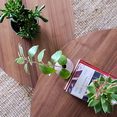 Chic & Cozy Vibrant Flat *