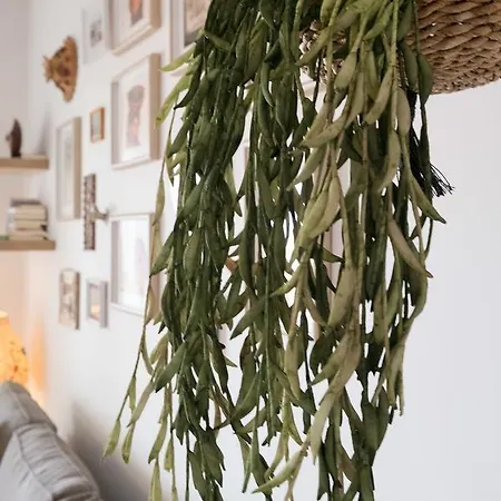 Daire Chic & Cozy Vibrant Flat *